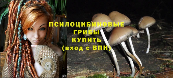 кокаин премиум Беломорск