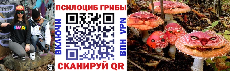 блэк спрут сайт  Жуков  Псилоцибиновые грибы Psilocybe  что такое наркотик 